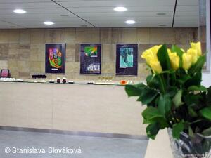 Můj sen - vernisáž