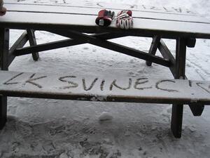 Ceník služeb areálu LK SVINEC Nový Jičín