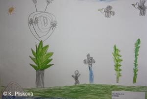 Obecní knihovna v Petřvaldě - knihovna, kde jste doma!